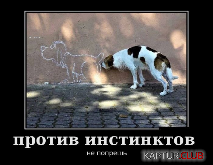2.png | Рено Каптур Клуб Россия | Форум KAPTUR.SU