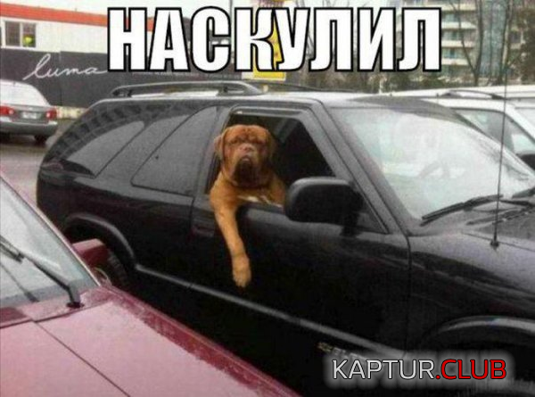 2.png | Рено Каптур Клуб Россия | Форум KAPTUR.SU