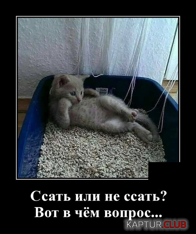 2.png | Рено Каптур Клуб Россия | Форум KAPTUR.SU