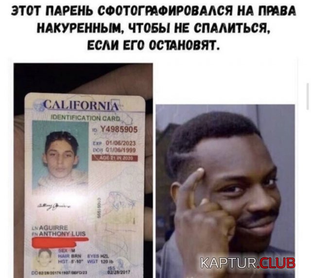 200315_11_trinixy_ru.jpg | Рено Каптур Клуб Россия | Форум KAPTUR.SU