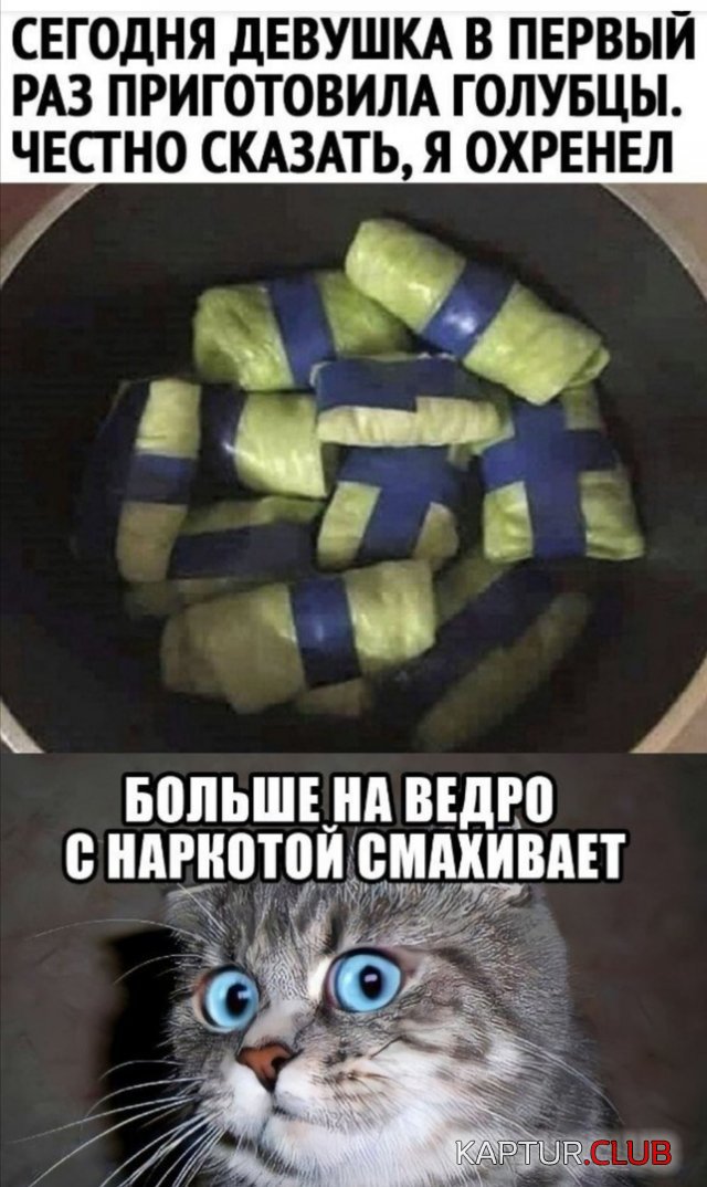 200354_11_trinixy_ru.jpg | Рено Каптур Клуб Россия | Форум KAPTUR.SU