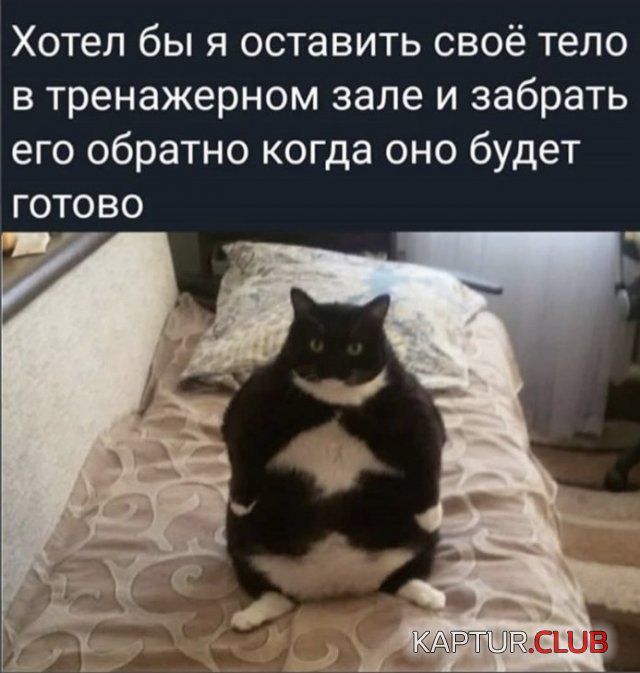200517_19_trinixy_ru.jpg | Рено Каптур Клуб Россия | Форум KAPTUR.SU