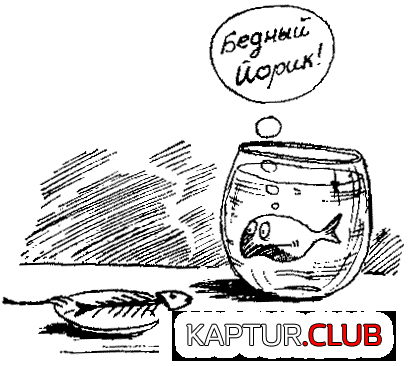 2007.GIF | Рено Каптур Клуб Россия | Форум KAPTUR.SU