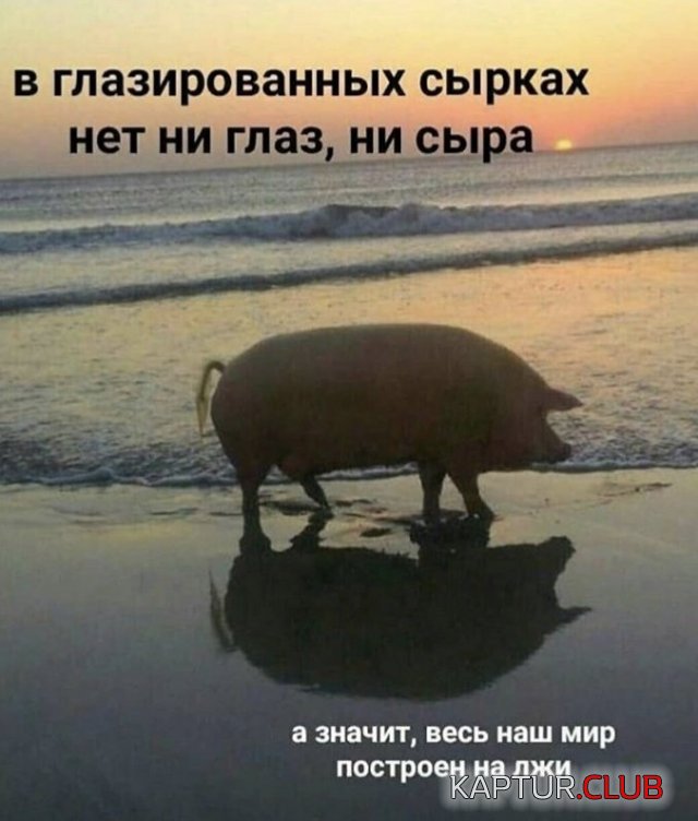 200963_5_trinixy_ru.jpg | Рено Каптур Клуб Россия | Форум KAPTUR.SU