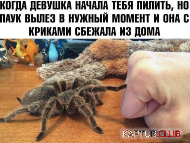 201162_1_trinixy_ru.jpg | Рено Каптур Клуб Россия | Форум KAPTUR.SU
