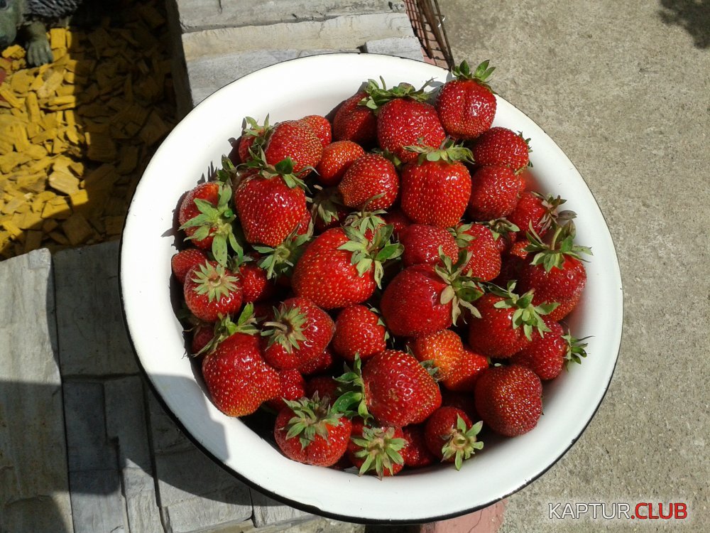 20130623_142305.jpg | Рено Каптур Клуб Россия | Форум KAPTUR.SU