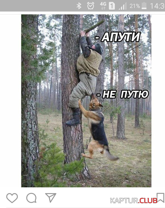 2017-03-16 14.31.30.png | Рено Каптур Клуб Россия | Форум KAPTUR.SU