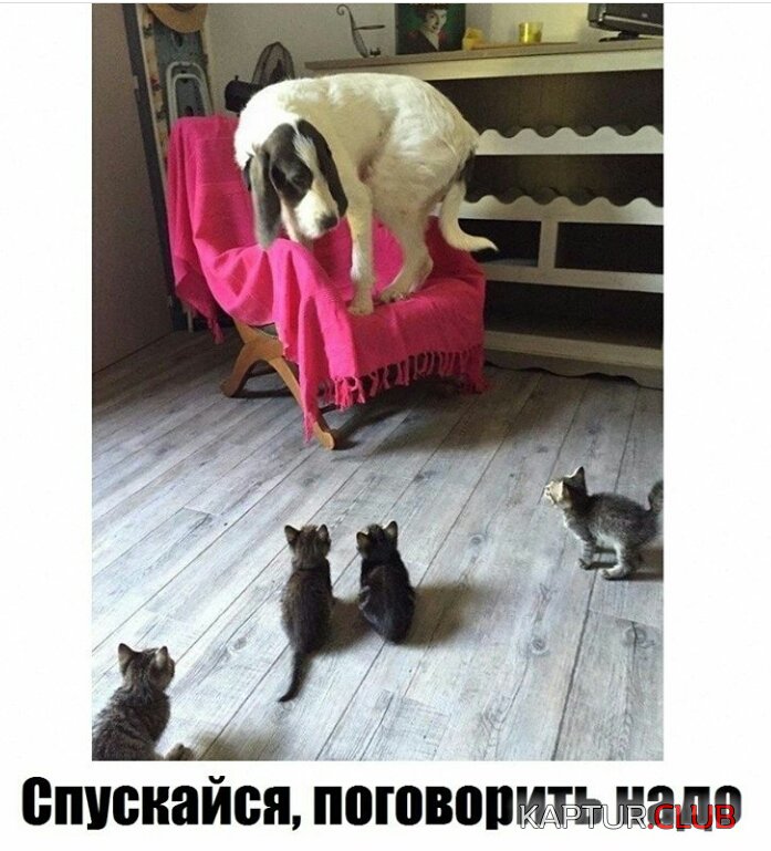 2017-03-22 11.56.47.jpg | Рено Каптур Клуб Россия | Форум KAPTUR.SU