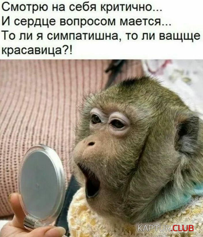 2017-03-23 11.27.53.png | Рено Каптур Клуб Россия | Форум KAPTUR.SU