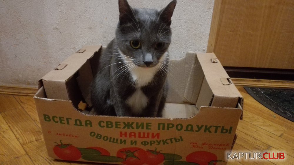 2017-09-06 22-50-16.JPG | Рено Каптур Клуб Россия | Форум KAPTUR.SU