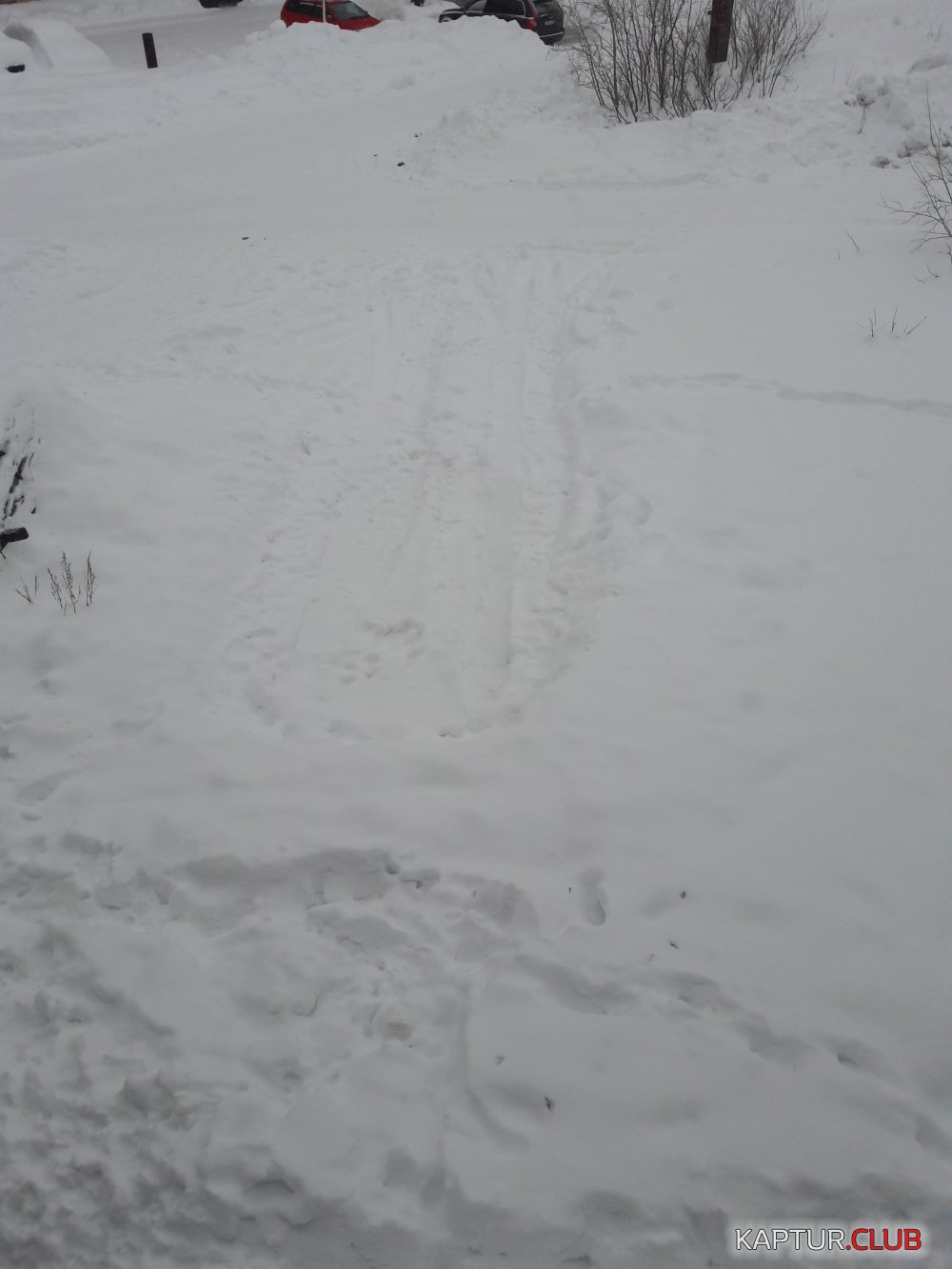 20170306_142303.jpg | Рено Каптур Клуб Россия | Форум KAPTUR.SU