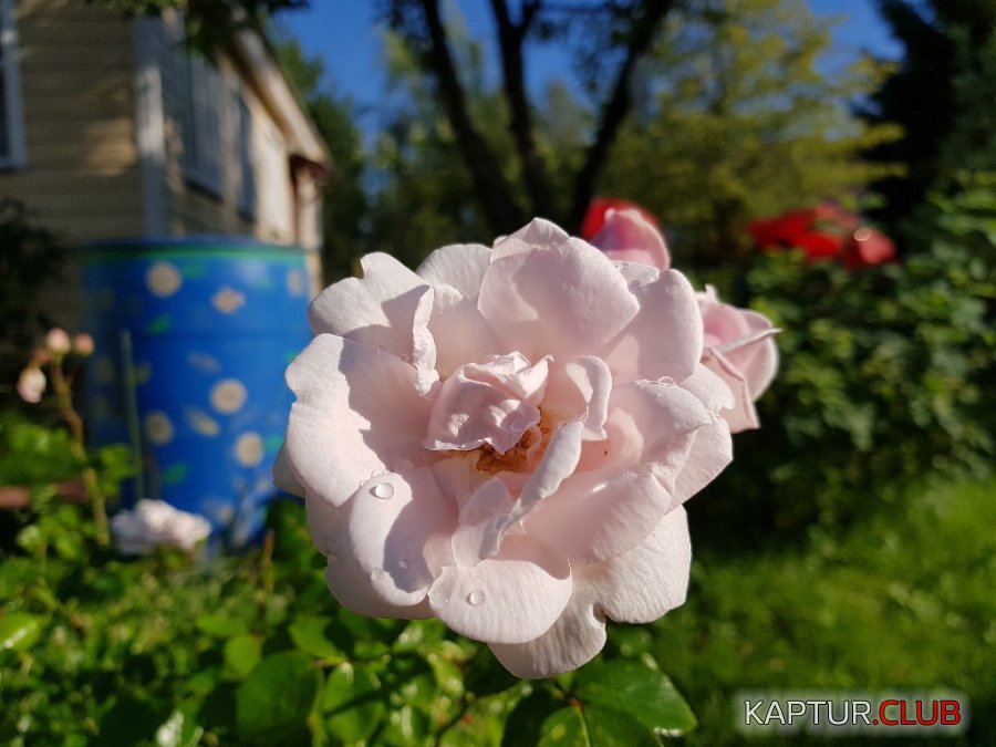 20180713_174031.jpg | Рено Каптур Клуб Россия | Форум KAPTUR.SU