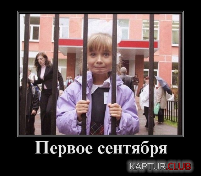 20180920_104820(0).jpg | Рено Каптур Клуб Россия | Форум KAPTUR.SU