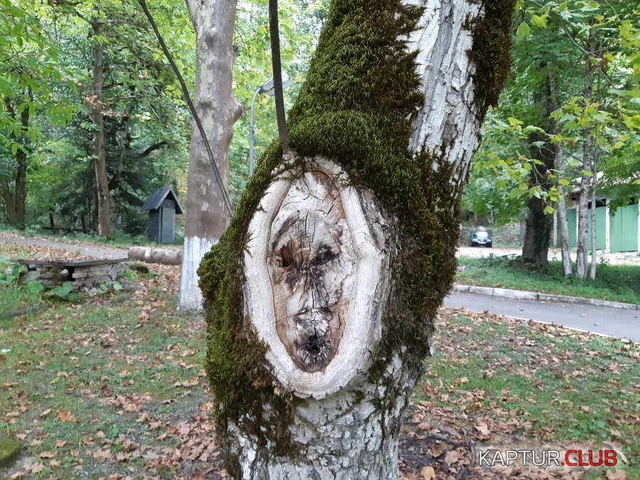 20180925_163611.jpg | Рено Каптур Клуб Россия | Форум KAPTUR.SU