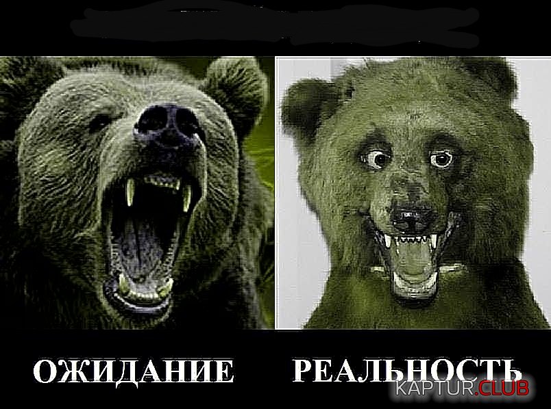 20181021_144631.jpg | Рено Каптур Клуб Россия | Форум KAPTUR.SU