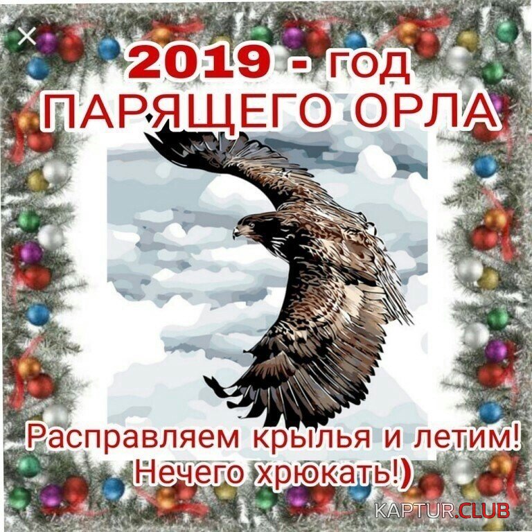 2018Орлы.jpg | Рено Каптур Клуб Россия | Форум KAPTUR.SU
