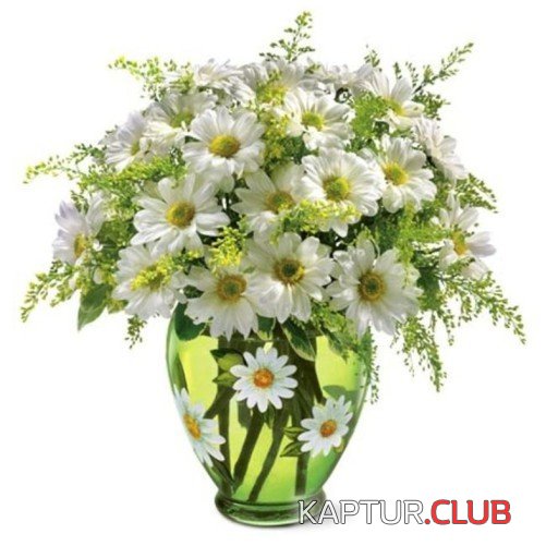 2019-06-28-06-06-03.jpg | Рено Каптур Клуб Россия | Форум KAPTUR.SU