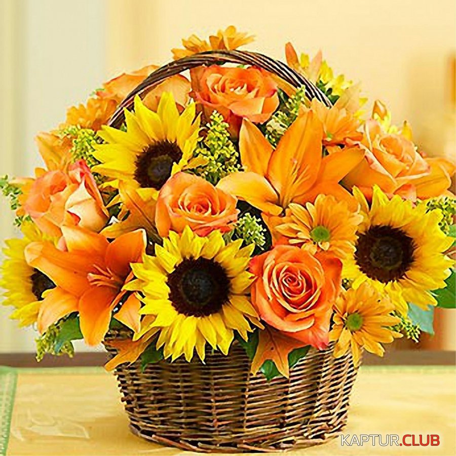 2019-09-13-06-33-32-1.jpg | Рено Каптур Клуб Россия | Форум KAPTUR.SU