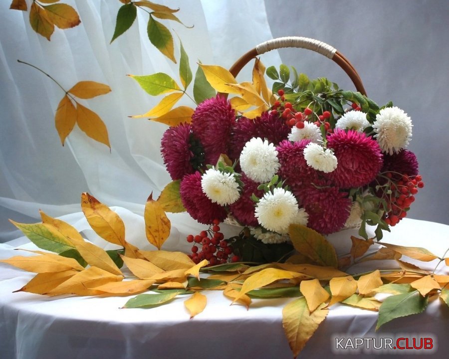 2019-09-14-10-10-09.jpg | Рено Каптур Клуб Россия | Форум KAPTUR.SU