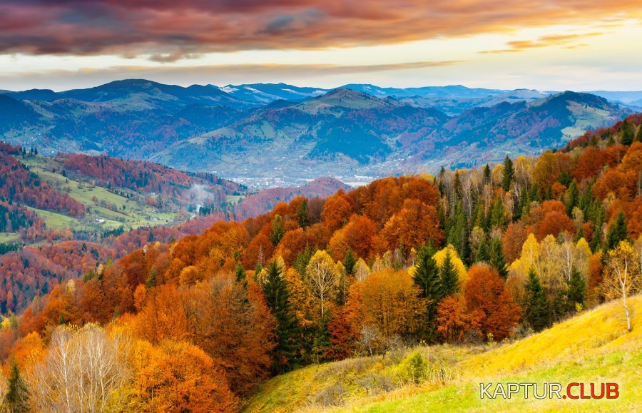 2019-09-20-06-25-33.jpg | Рено Каптур Клуб Россия | Форум KAPTUR.SU