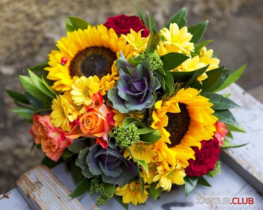 2019-10-01-06-41-32.jpg | Рено Каптур Клуб Россия | Форум KAPTUR.SU