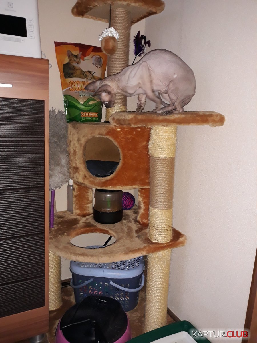20190217_145024.jpg | Рено Каптур Клуб Россия | Форум KAPTUR.SU