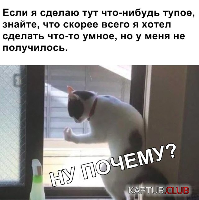 20190217_175543.jpg | Рено Каптур Клуб Россия | Форум KAPTUR.SU