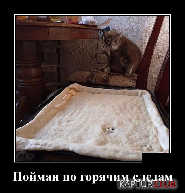 20190805_210625.jpg | Рено Каптур Клуб Россия | Форум KAPTUR.SU