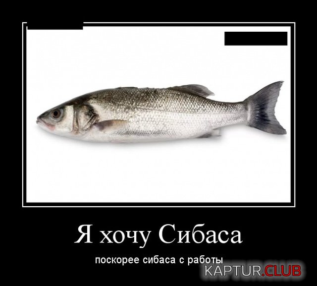 20190910_154216.jpg | Рено Каптур Клуб Россия | Форум KAPTUR.SU