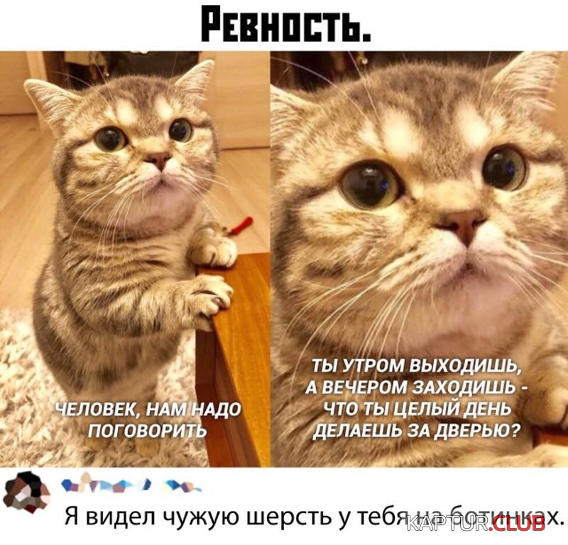 20191111_103337.jpg | Рено Каптур Клуб Россия | Форум KAPTUR.SU