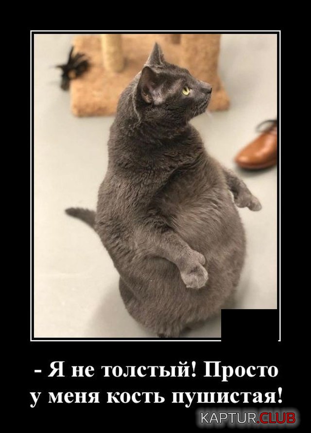 20191213_201802.jpg | Рено Каптур Клуб Россия | Форум KAPTUR.SU