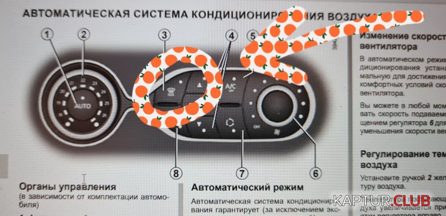 20201111_102914.jpg | Рено Каптур Клуб Россия | Форум KAPTUR.SU