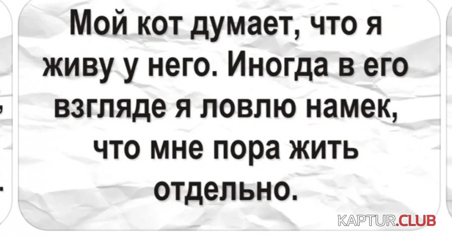 20201224_225021.jpg | Рено Каптур Клуб Россия | Форум KAPTUR.SU