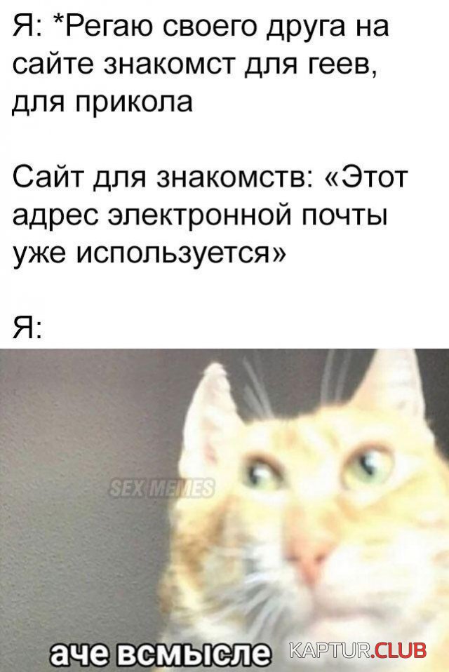 202019_9_trinixy_ru.jpg | Рено Каптур Клуб Россия | Форум KAPTUR.SU
