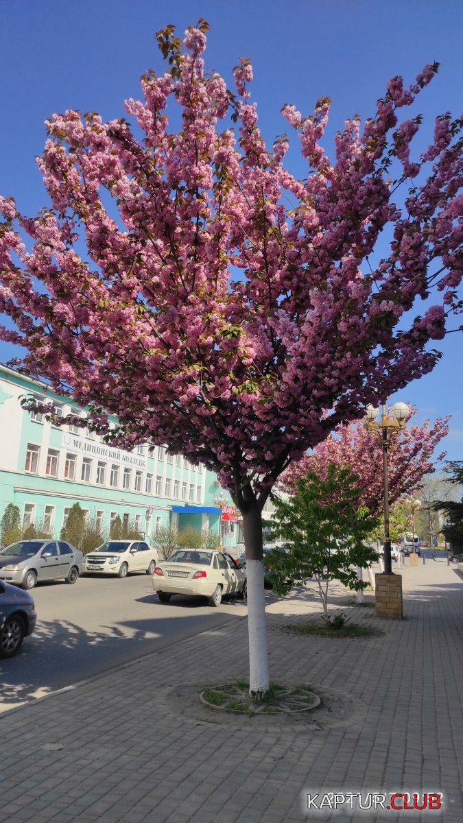 2021-05-07 09-52-07.JPG | Рено Каптур Клуб Россия | Форум KAPTUR.SU