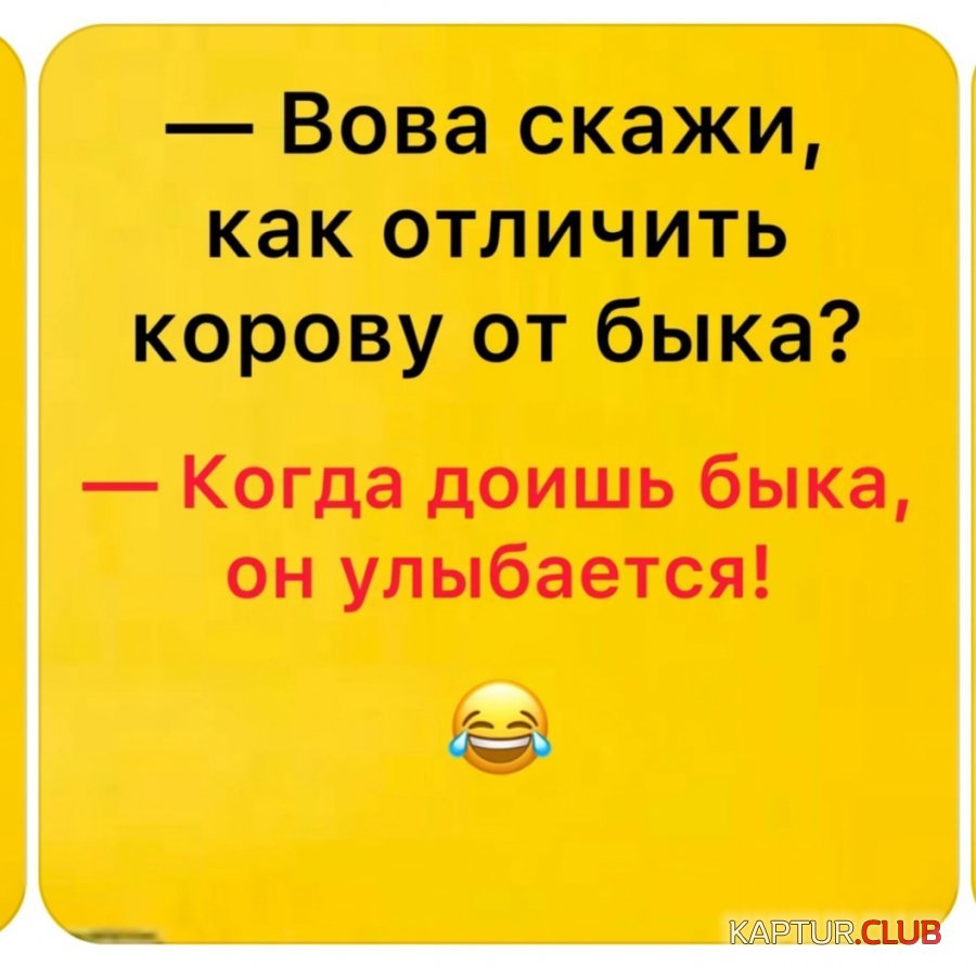 20210211_232358.jpg | Рено Каптур Клуб Россия | Форум KAPTUR.SU