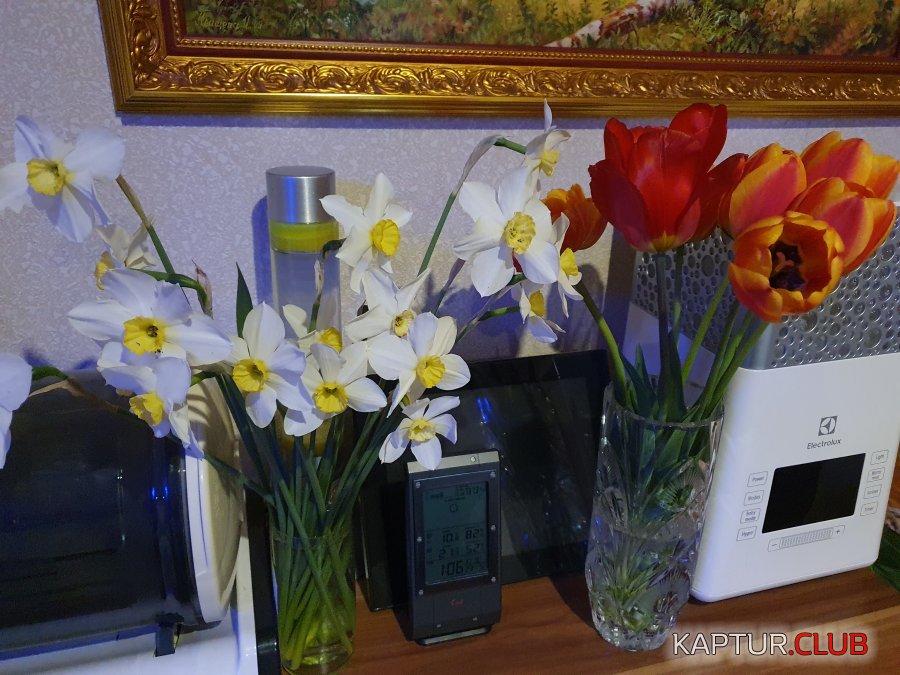 20210523_010656.jpg | Рено Каптур Клуб Россия | Форум KAPTUR.SU