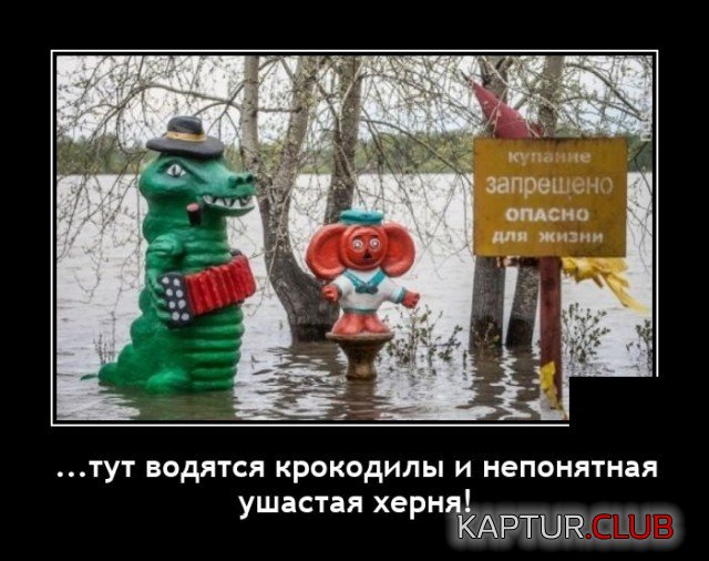 20210627_132015.jpg | Рено Каптур Клуб Россия | Форум KAPTUR.SU
