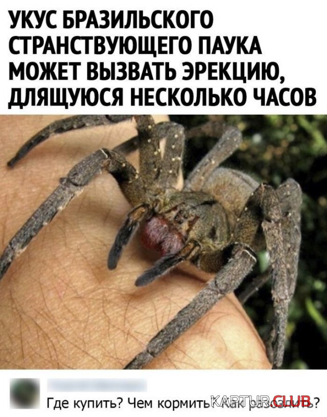 20210712_153915.jpg | Рено Каптур Клуб Россия | Форум KAPTUR.SU