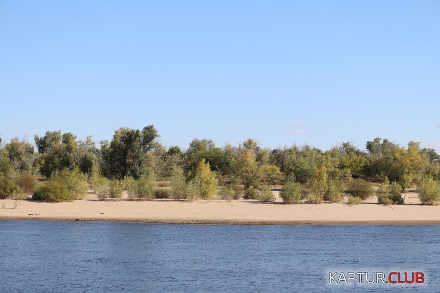 20211002135812_IMG_4765.JPG | Рено Каптур Клуб Россия | Форум KAPTUR.SU