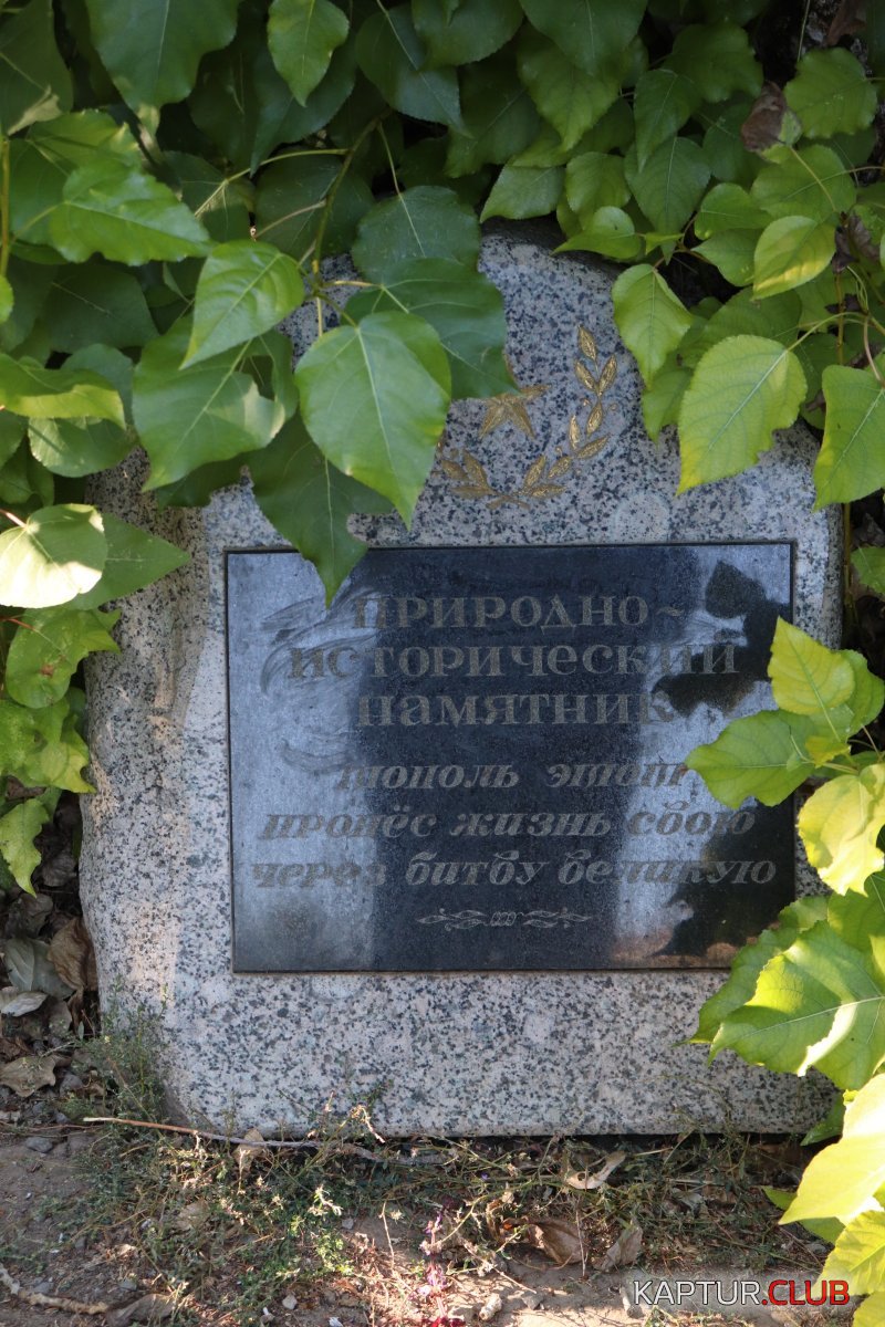 20211002145244_IMG_4783.JPG | Рено Каптур Клуб Россия | Форум KAPTUR.SU