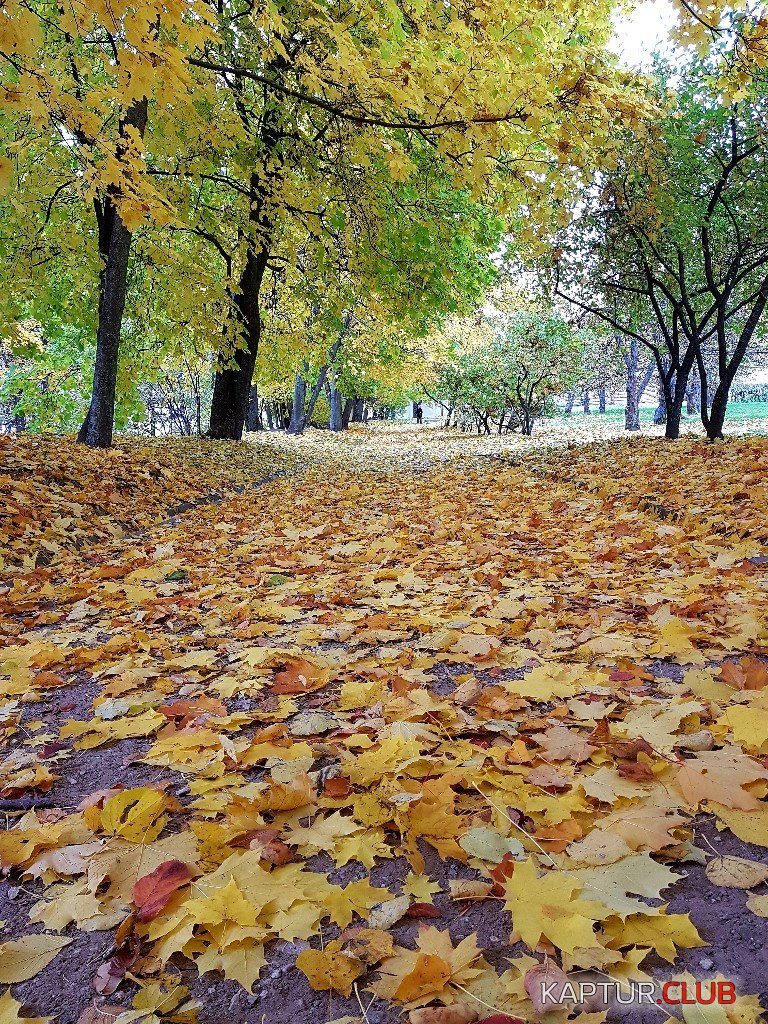 20211005_161703.jpg | Рено Каптур Клуб Россия | Форум KAPTUR.SU