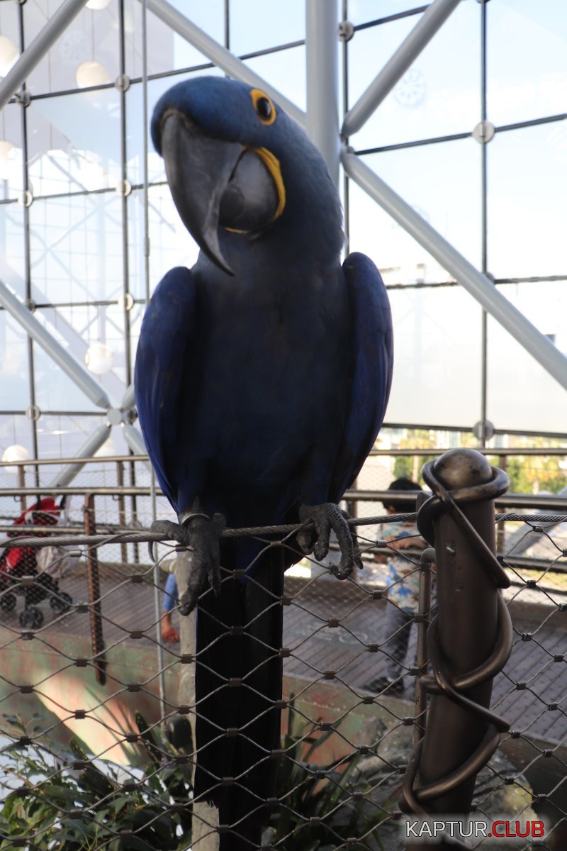 20211203135623_IMG_5346.JPG | Рено Каптур Клуб Россия | Форум KAPTUR.SU