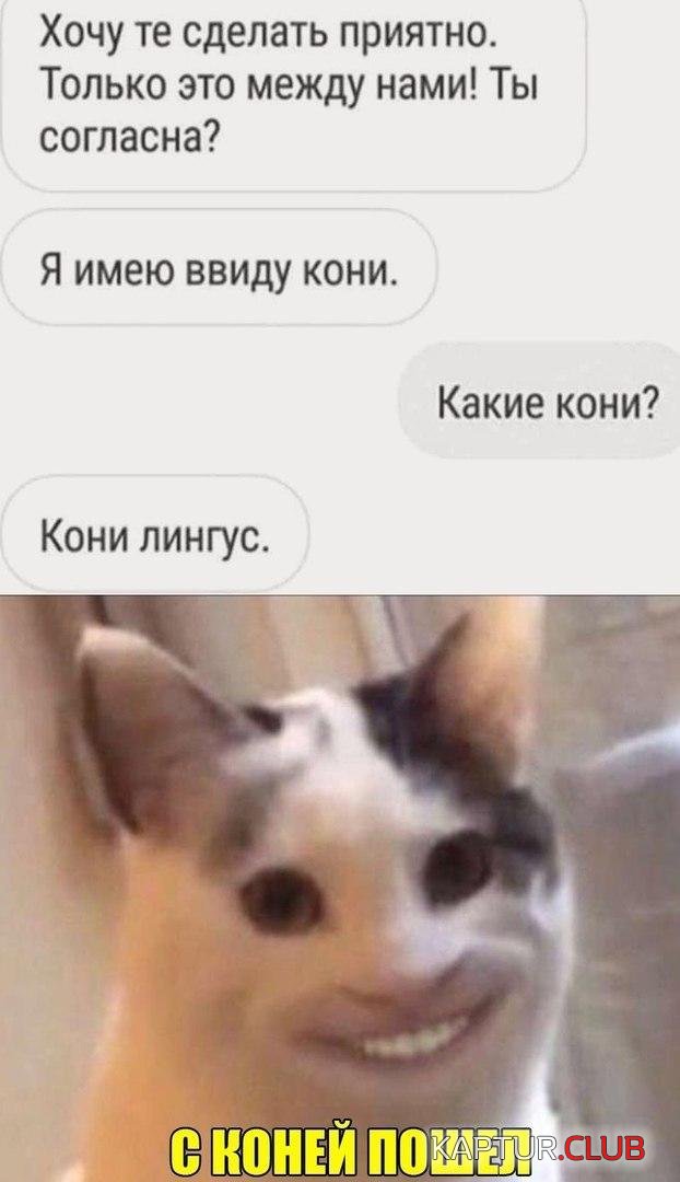 202256_5_trinixy_ru.jpg | Рено Каптур Клуб Россия | Форум KAPTUR.SU