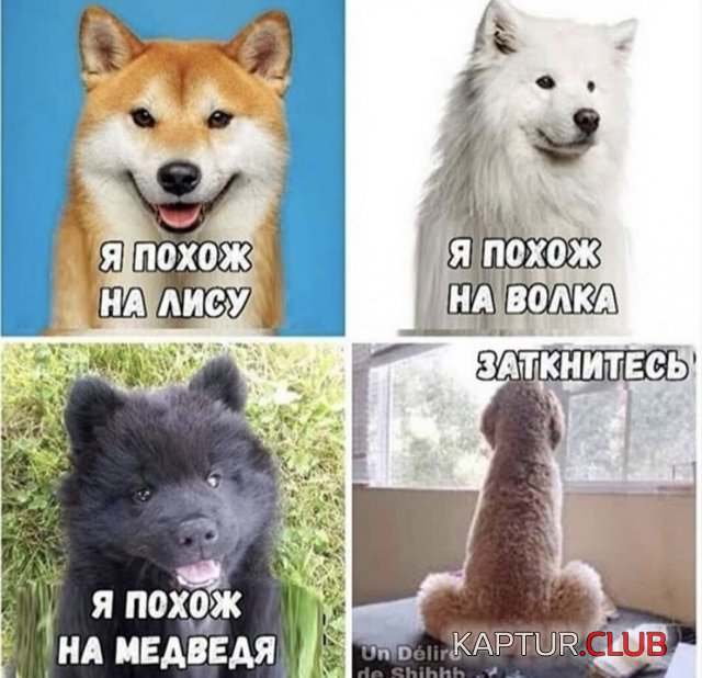 202269_4_trinixy_ru.jpg | Рено Каптур Клуб Россия | Форум KAPTUR.SU