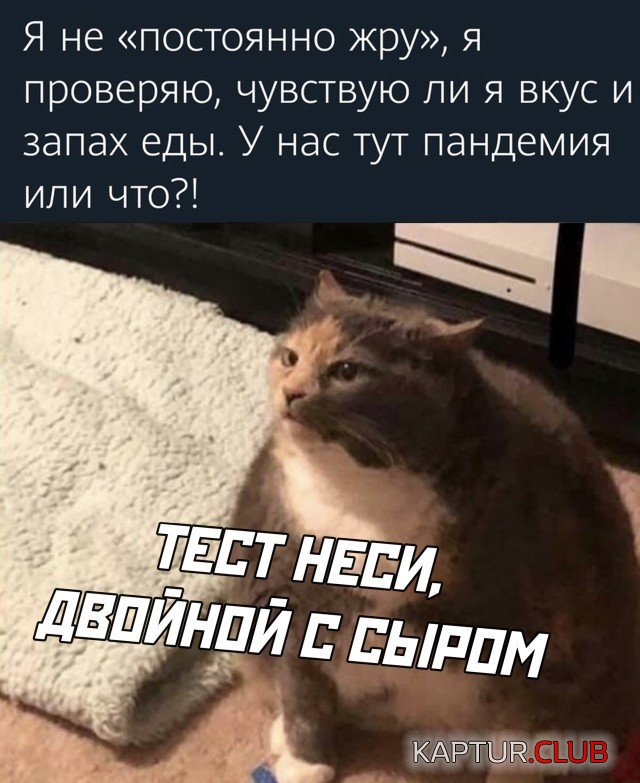202315_27_trinixy_ru.jpg | Рено Каптур Клуб Россия | Форум KAPTUR.SU