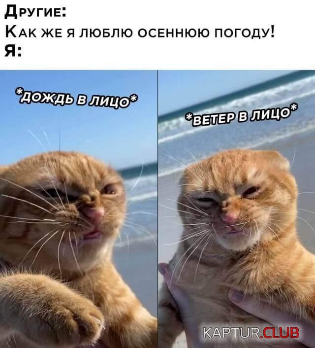 202315_6_trinixy_ru.jpg | Рено Каптур Клуб Россия | Форум KAPTUR.SU