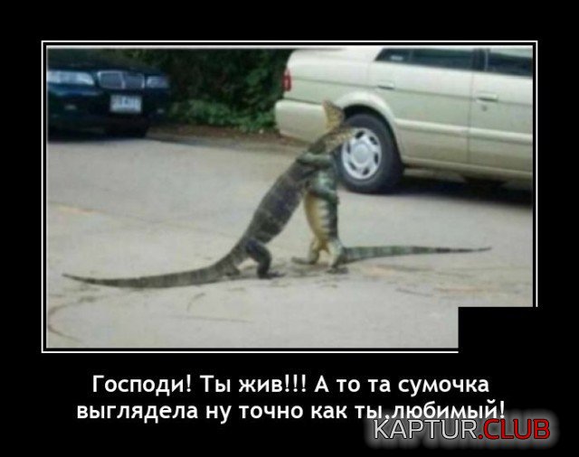 202479_10_trinixy_ru.jpg | Рено Каптур Клуб Россия | Форум KAPTUR.SU
