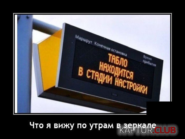 202479_3_trinixy_ru.jpg | Рено Каптур Клуб Россия | Форум KAPTUR.SU