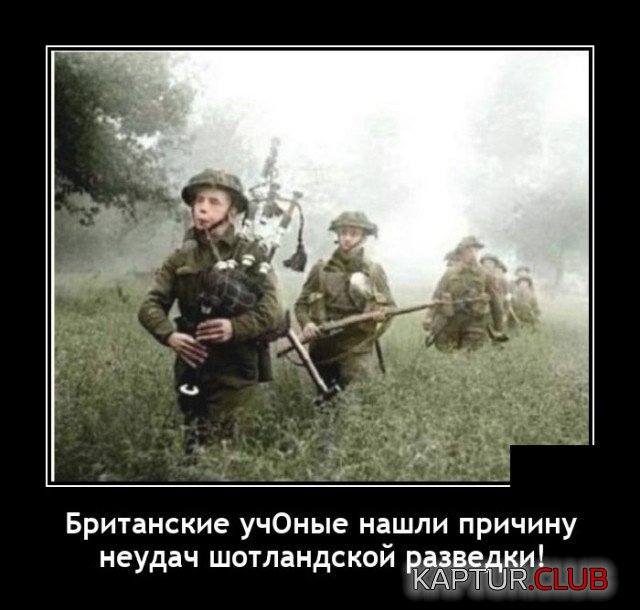 202479_9_trinixy_ru.jpg | Рено Каптур Клуб Россия | Форум KAPTUR.SU